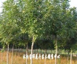 供應電線電纜填充用高檔麻線_紡織、皮革_世界工廠網中國產品信息庫