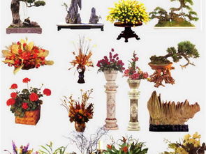 室內(nèi)設計效果圖ps后期素材庫家裝工裝ps平面圖下載 圖片718.72mb 家裝彩色平面圖大全 彩色平面圖