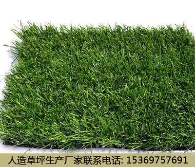 新聞 揭陽人造草坪價格如何